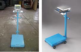 Avery Weigh-Tronix PFS Portable Floor
Scale