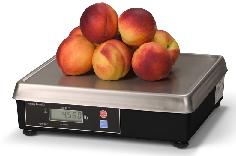 Avery Berkel /
                        Brecknell 6720 Point of Sale Scale
