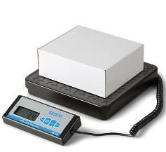 Brecknell PS Bench
                        Scale