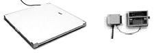 Cambridge SS660-PT Series Stainless Steel
                        with Removable Polyethylene Top Floor Scales