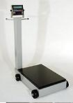 Cardinal 5852F and 8852F Portable Floor
Scales