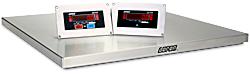 Doran Low Profile Baggage Scale