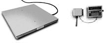 Cambridge SS660 Series Stainless Steel
                        Floor Scales