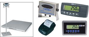 Salter Brecknell Legal-for-Trade Floor
                        Scale Systems