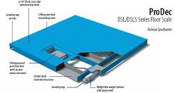 Heavy-Duty
                        Floor Scales