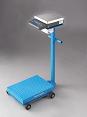 Portable Floor Scales