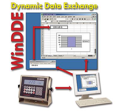 Cardinal Detecto WinDDE Dynamic Data
                      Exchange